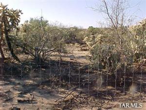 16900 S La Canada  Sahuarita Arizona 85629