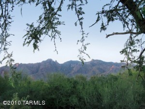 5280 N Via Alcalde  Tucson Arizona 85718