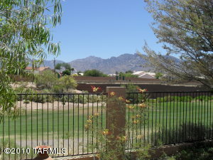 11460 N Palmetto Dunes Ave Oro Valley Arizona 85737