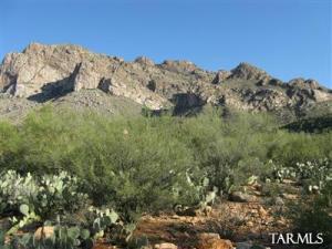 9660 N Pusch Ridge Pl Tucson Arizona 85704