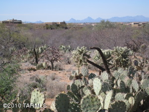 8412 S Circle C Ranch Rd Corona de Tucson Arizona 85641