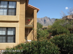 6651 N Campbell Ave Tucson Arizona 85718