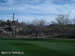 14588 N Rocky Highlands Dr Oro Valley Arizona 85755