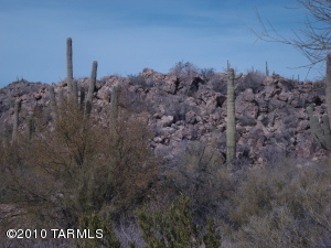 14555 N Blazing Canyon Dr Oro Valley Arizona 85755