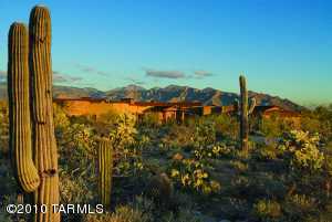 13154 N T Bench Bar Pl Marana Arizona 85658