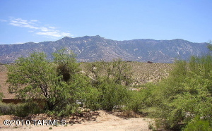 4555 E Camino Arista  Tucson Arizona 85739