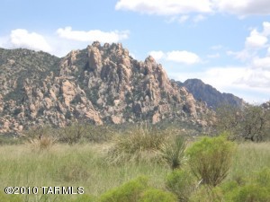 196 E Horse Ranch Rd St. David Arizona 85630