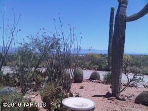 3515 N Arroyo Pl Tucson Arizona 85745