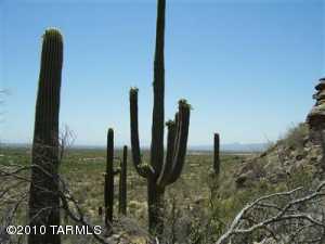3545 W Adobe Ruins Pl Marana Arizona 85658