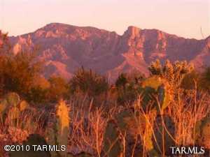 14161 N Giant Saguaro Pl Oro Valley Arizona 85755