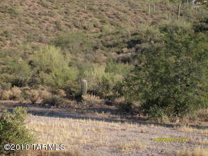 4505 N Grizzly Springs  Tucson Arizona 85745