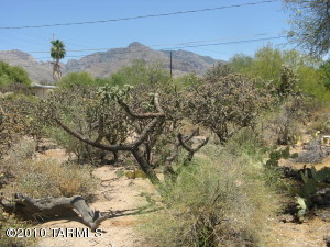 7060 N Montecatina  Tucson Arizona 85704