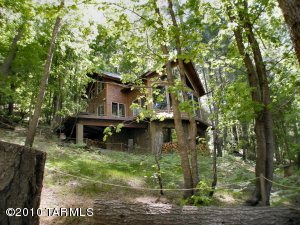 11070 E Turkey Run  Mt Lemmon Arizona 85619