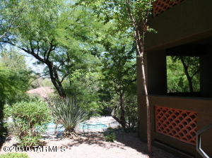 Tucson Condo 1 br/1 ba