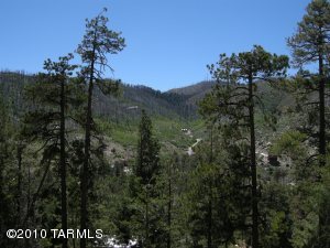 12680 N Ray  Mt. Lemmon Arizona 85619