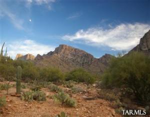 1701 E Calle Del Vaso  Oro Valley Arizona 85737
