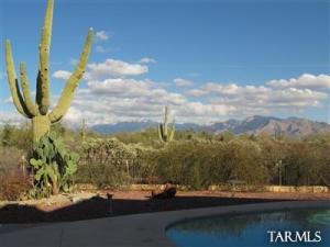 4246 W Flying Diamond Dr Tucson Arizona 85742