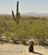 11910 E Rambling Tr Tucson Arizona 85747