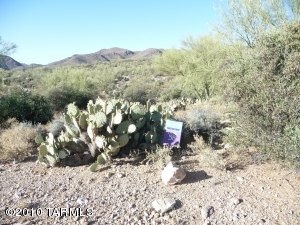 4929 W Saguaro Cliffs  Tucson Arizona 85745