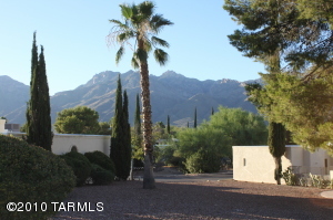 8054 E Shadow Canyon Rd Tucson Arizona 85750