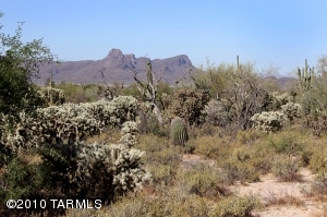 11151 N CAMINO DE OESTE  Tucson Arizona 85742