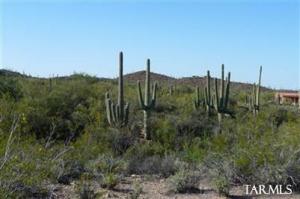 4146 N Gerhart Rd Tucson Arizona 85745