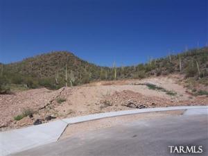 3172 W Salvia Dr Tucson Arizona 85745