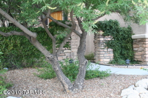 3419 E Via Paloma Colipava  Tucson Arizona 85718