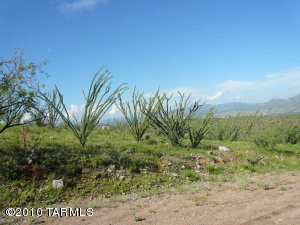 341  Calle Muelle  Rio Rico Arizona 85648
