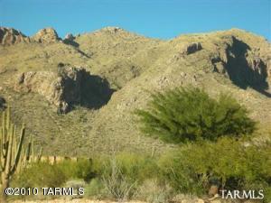 1847 E Desert Garden Dr Tucson Arizona 85718
