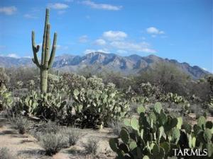   Lambert Ln Oro Valley Arizona 85742