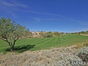 1472 W Carmel Pointe Dr Oro Valley Arizona 85737