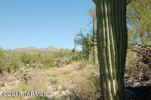552 W Tortolita Mountain Cir Oro Valley Arizona 85737
