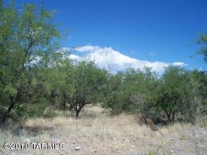   NIELSON Ln Tubac Arizona 85646