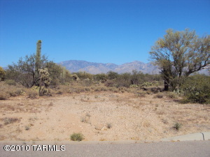 4495 W Butterfly Mountain Dr Marana Arizona 85658