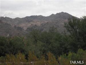 5600 N Chieftan  Tucson Arizona 85750