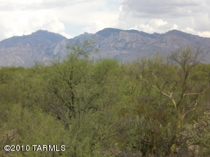 12410  Faraway Wash  Marana Arizona 85658