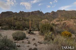 4009 E Playa De Coronado  Tucson Arizona 85718