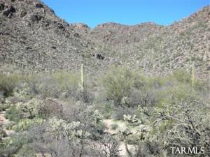 13714 N Nesting Quail Pl Marana Arizona 85658
