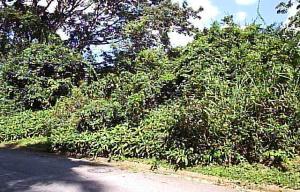 ALO INMUEBLES 2009, C.A. Terreno  Venta Caracas Cerro Verde FLEXMLS-04-4172
