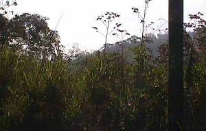 FRANQUICIA MASTER COLOMBIA Terreno Residencial en Venta en Altos de Carimao en Caracas Código: 05-1156 No.6