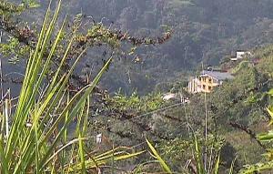 FRANQUICIA MASTER COLOMBIA Terreno Residencial en Venta en Altos de Carimao en Caracas Código: 05-1156 No.8