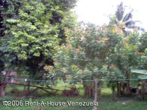 EILEEN CASTILLO Terreno Residencial En Venta En Maracay - Santa Rita C&oacute;digo FLEX: 06-5393