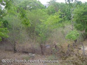 FRANQUICIA REGIONAL CENTRAL Terreno Residencial en Venta en Las Barrancas en Municipio Diaz San Juan C&oacute;digo: 07-3413 No.0