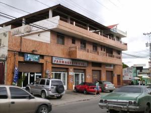 EILEEN CASTILLO Edificio Venta San Mateo Zona Centro FLEXMLS-08-4225