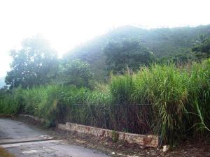 Terreno Residencial / Venta / Maracay / Lomas de Palmarito / FLEXMLS-08-4344