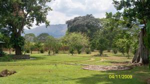 THAYDA MONTERO V-04521574-8 Terreno Residencial En Venta En Valencia - Guataparo C&oacute;digo FLEX: 09-2389