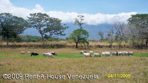 PATRICIA COLINA V-09752084-0 Terreno Residencial En Venta En Valencia - Guataparo C&oacute;digo FLEX: 09-2389 No.2