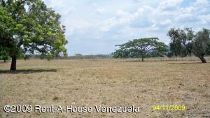 PATRICIA COLINA V-09752084-0 Terreno Residencial En Venta En Valencia - Guataparo C&oacute;digo FLEX: 09-2389 No.3
