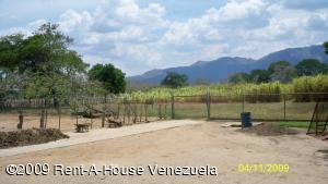 PATRICIA COLINA V-09752084-0 Terreno Residencial En Venta En Valencia - Guataparo C&oacute;digo FLEX: 09-2389 No.4